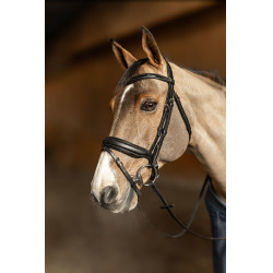 Bridon HFI Master pull-back Edges Zwart