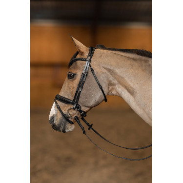Bridon Pull-back Verona HFI Master Pro Line Zwart / zilver Bridon Pull-back Verona HFI Master Pro Line Zwart / zilver