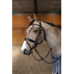 **Ronde hoofdstel HFI Master**