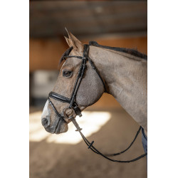 **Ronde hoofdstel HFI Master** Zwart