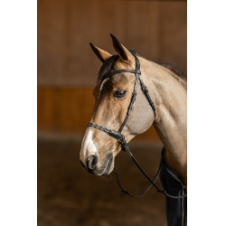 Bitloos hoofdstel Freedom HFI Master