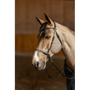Bitloos hoofdstel Freedom HFI Master