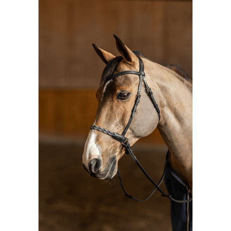 Bitloos hoofdstel Freedom HFI Master