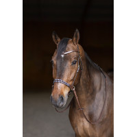 Bitloos hoofdstel Freedom HFI Master Bruin