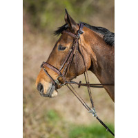 HFI Master leren gogue Zwart