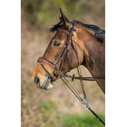 HFI Master leren gogue Bruin HFI Master leren gogue Bruin