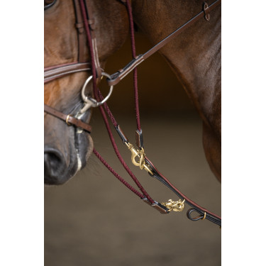 Gogue HFI Master Bruin