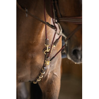 Gogue HFI Master Bruin Gogue HFI Master Bruin