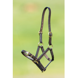 Lederen halster HFI Master Bruin