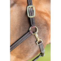Leren halster HFI Master crèmekleurige stiksels Bruin