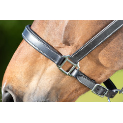 Lederen halster HFI Master dubbel verstelbaar leder Zwart