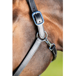 Lederen halster HFI Master dubbel verstelbaar leder Zwart