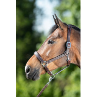 Lederen halster HFI Master dubbel verstelbaar leder Bruin