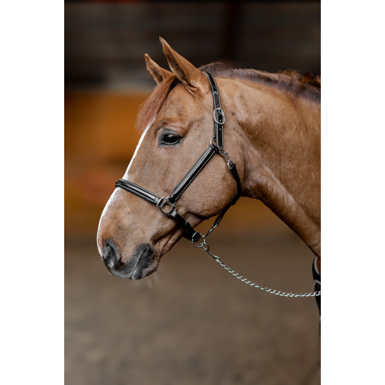 Lederen halster Little Groom HFI Master