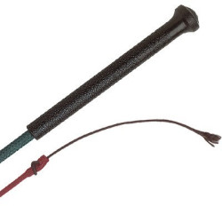 Dressuurzweep Whip & Go kunststof handvat