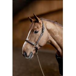 Lederen halster Little Groom HFI Master Bruin Lederen halster Little Groom HFI Master Bruin