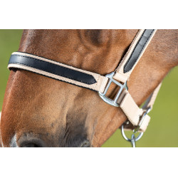 Halster First nylon HFI Master Beige