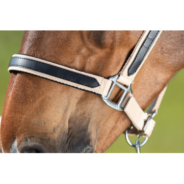 Halster First nylon HFI Master Beige