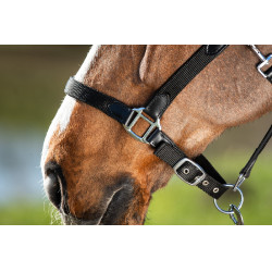 Neoprenhalfter Smart + Nylonführstrick HFI Master Zwart / zwart