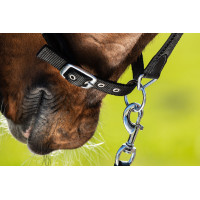 Neoprenhalfter Smart + Nylonführstrick HFI Master Bordeaux / bruin