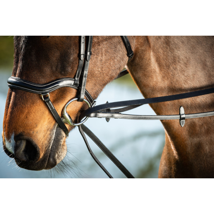 Duitse teugels leer HFI Master