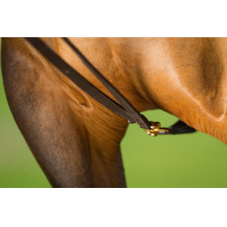 Duitse teugels leer HFI Master Bruin Duitse teugels leer HFI Master Bruin