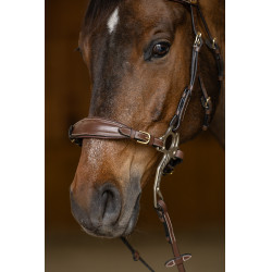 Set Neusriem Gourmette Hackamore HFI Master