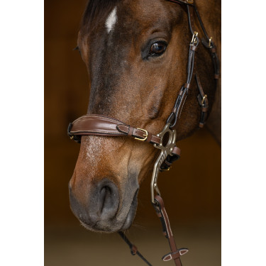 Set Neusriem Gourmette Hackamore HFI Master