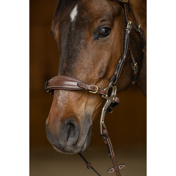Set Neusriem Gourmette Hackamore HFI Master