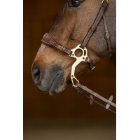 Set Neusriem Gourmette Hackamore HFI Master Bruin