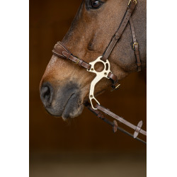 Set Neusriem Gourmette Hackamore HFI Master Set Neusriem Gourmette Hackamore HFI Master