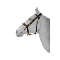 Trenshoofdstel / halster combinatie HFI Zwart