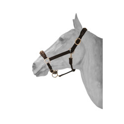 Leren halster + diamond HFI