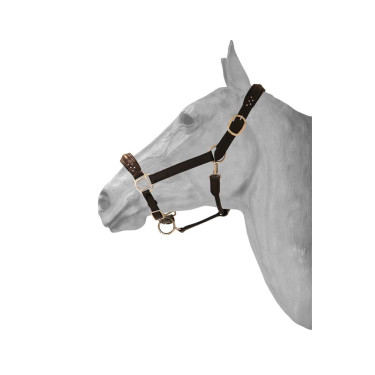 Leren halster + diamond HFI