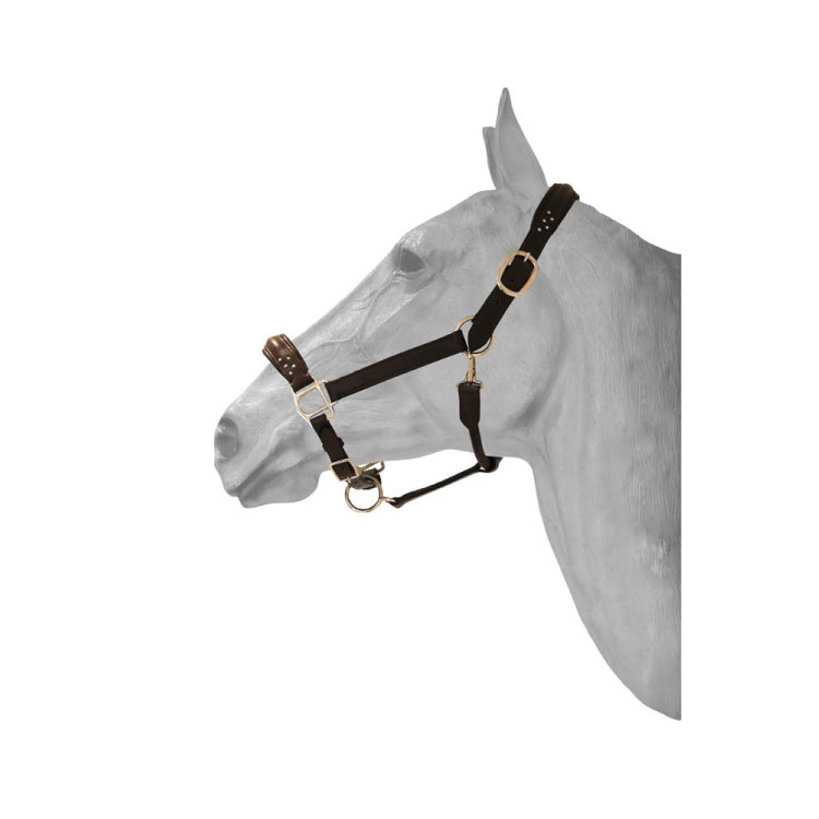 Leren halster + diamond HFI