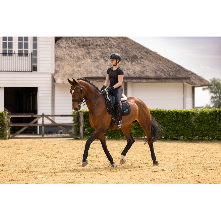 Euro-Star Flying Fundamental FullGrip rijleggings Euro-Star Flying Fundamental FullGrip rijleggings