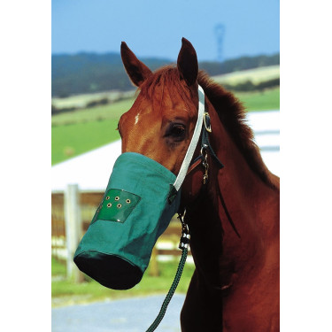 Musette canvas Musette canvas