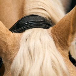 Halster Imperial Riding Hera Zwart