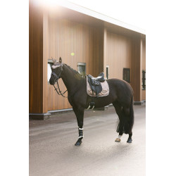 Vliegennetje Imperial Riding Lovely Cappuccino Bruin Vliegennetje Imperial Riding Lovely Cappuccino Bruin