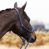Halter touw Imperial Riding Ambient Donkerpaars Bordeaux Halter touw Imperial Riding Ambient Donkerpaars Bordeaux