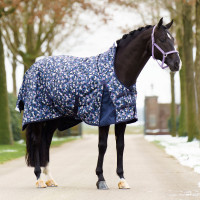 Paddockdeken Imperial Riding Pandora 0gr Rotsachtig paard BOB Motieven Paddockdeken Imperial Riding Pandora 0gr Rotsachtig paard BOB Motieven