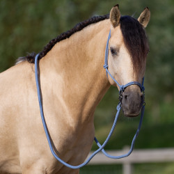 Halter touw Imperial Riding Ambient Halter touw Imperial Riding Ambient