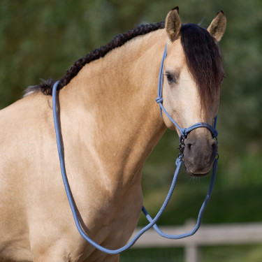 Halter touw Imperial Riding Ambient Halter touw Imperial Riding Ambient