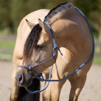 Halter touw Imperial Riding Ambient Maansteen Oranje