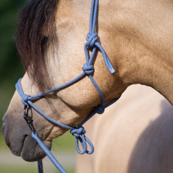 Halter touw Imperial Riding Ambient Halter touw Imperial Riding Ambient