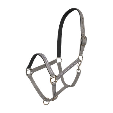 Halster HV Polo Nena Steen Grijs