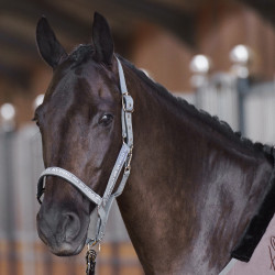 Halster HV Polo Nena Steen Grijs