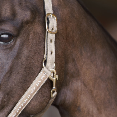 Halster HV Polo Nena Kiezel Grijs