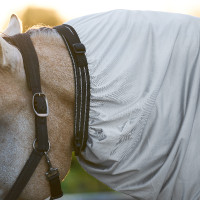 Anti-eczeemdeken Imperial Riding Zilver