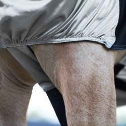 Anti-eczeemdeken Imperial Riding Zilver